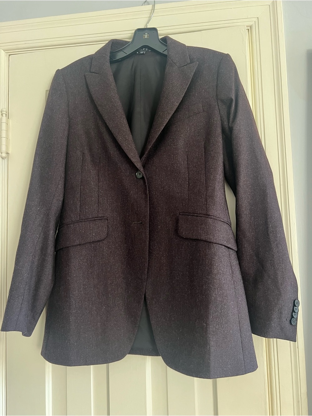 Theory Women's Single-Button Blazer in Plum
